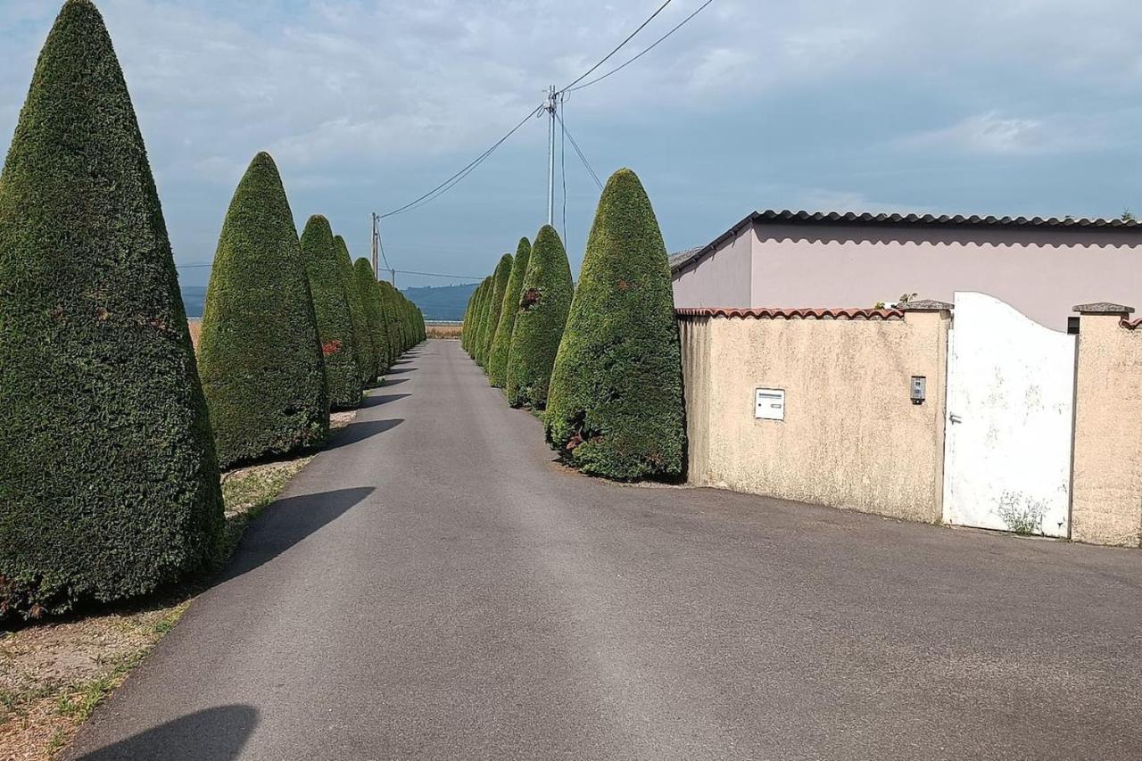Charmante Maison Avec Piscine Anneyron Exteriér fotografie